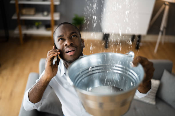 Best Professional water damage repair  in Inman, KS