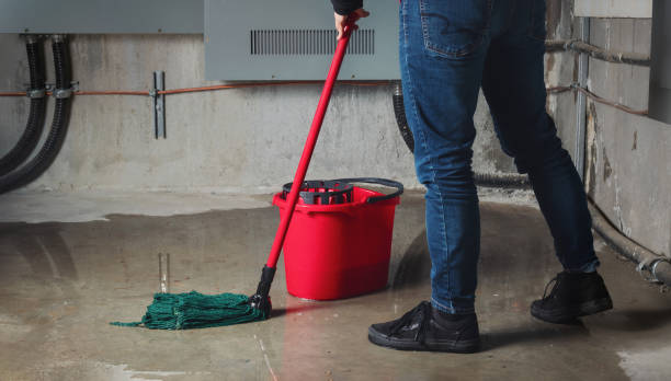 Best Flooded house restoration  in Inman, KS