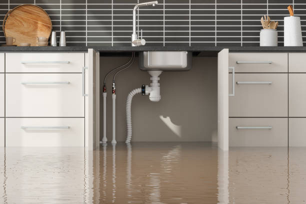 Best Water damage restoration mold remediation  in Inman, KS