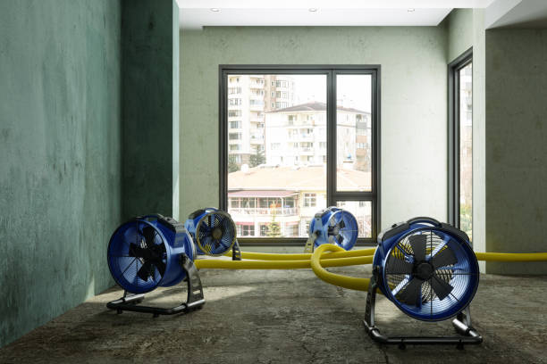 Best Flood restoration services  in Inman, KS